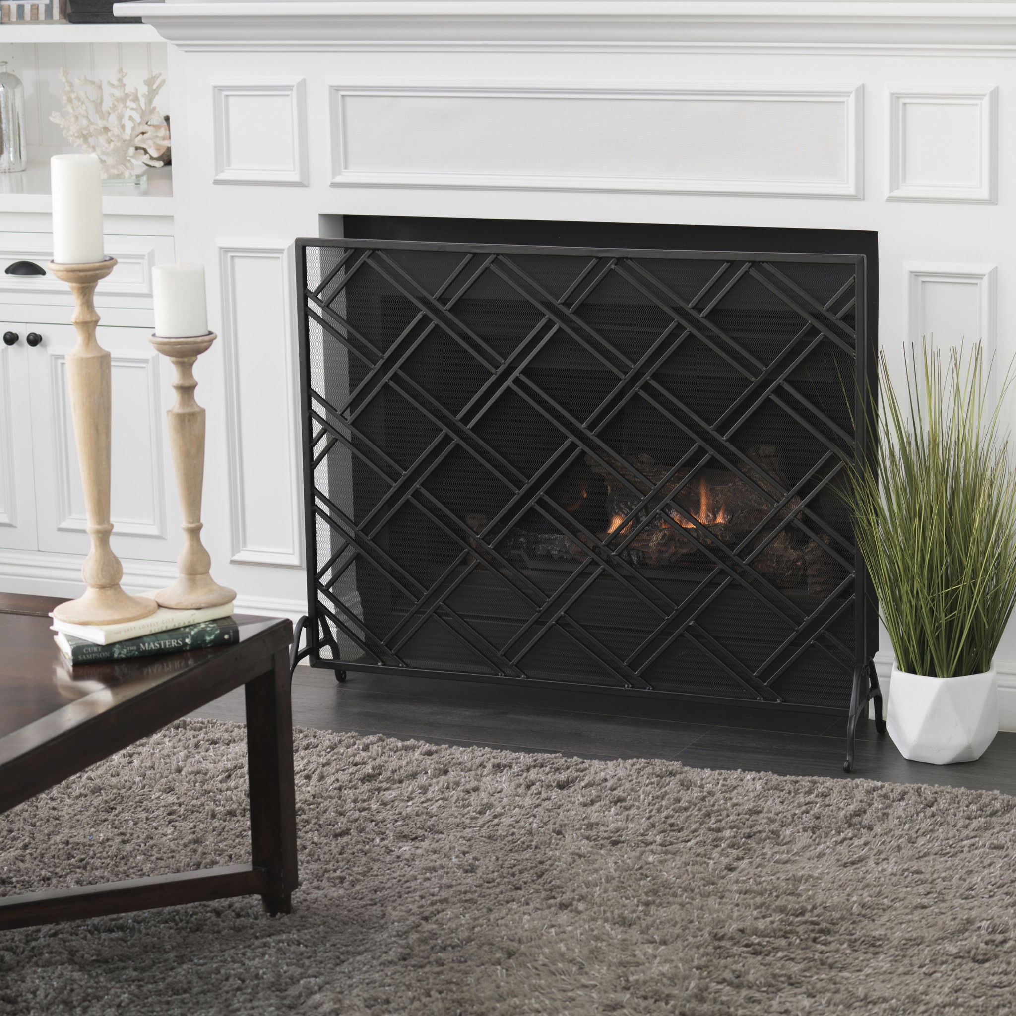 Elegant Design Fire Screen Protective Barrier